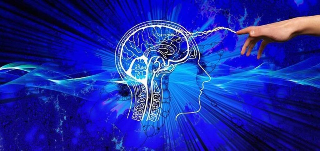 Elevate Brain Training Pro