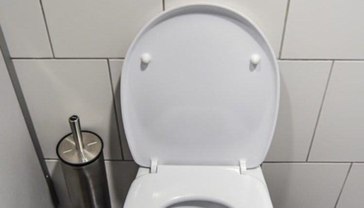 How to Replace a Toilet